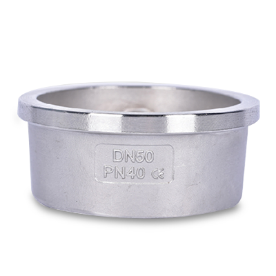 Wafer Disc Check Valve
